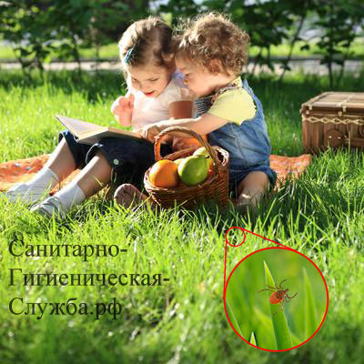 Акарицидная обработка, обработка от клещей, уничтожение клещей, обработка территорий от клещей